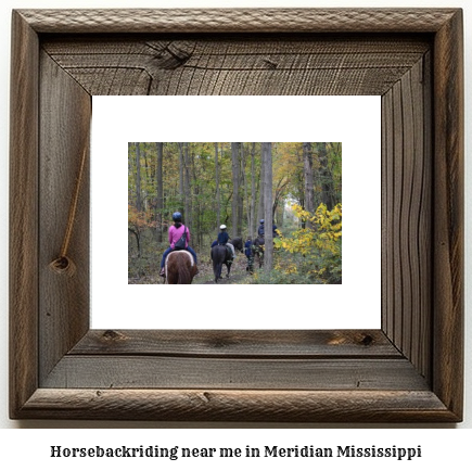 horseback riding near me in Meridian, Mississippi